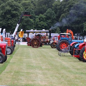 AAA Membership Application