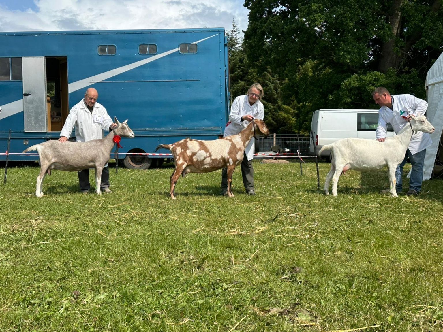 Goat Schedule | The Angus Show